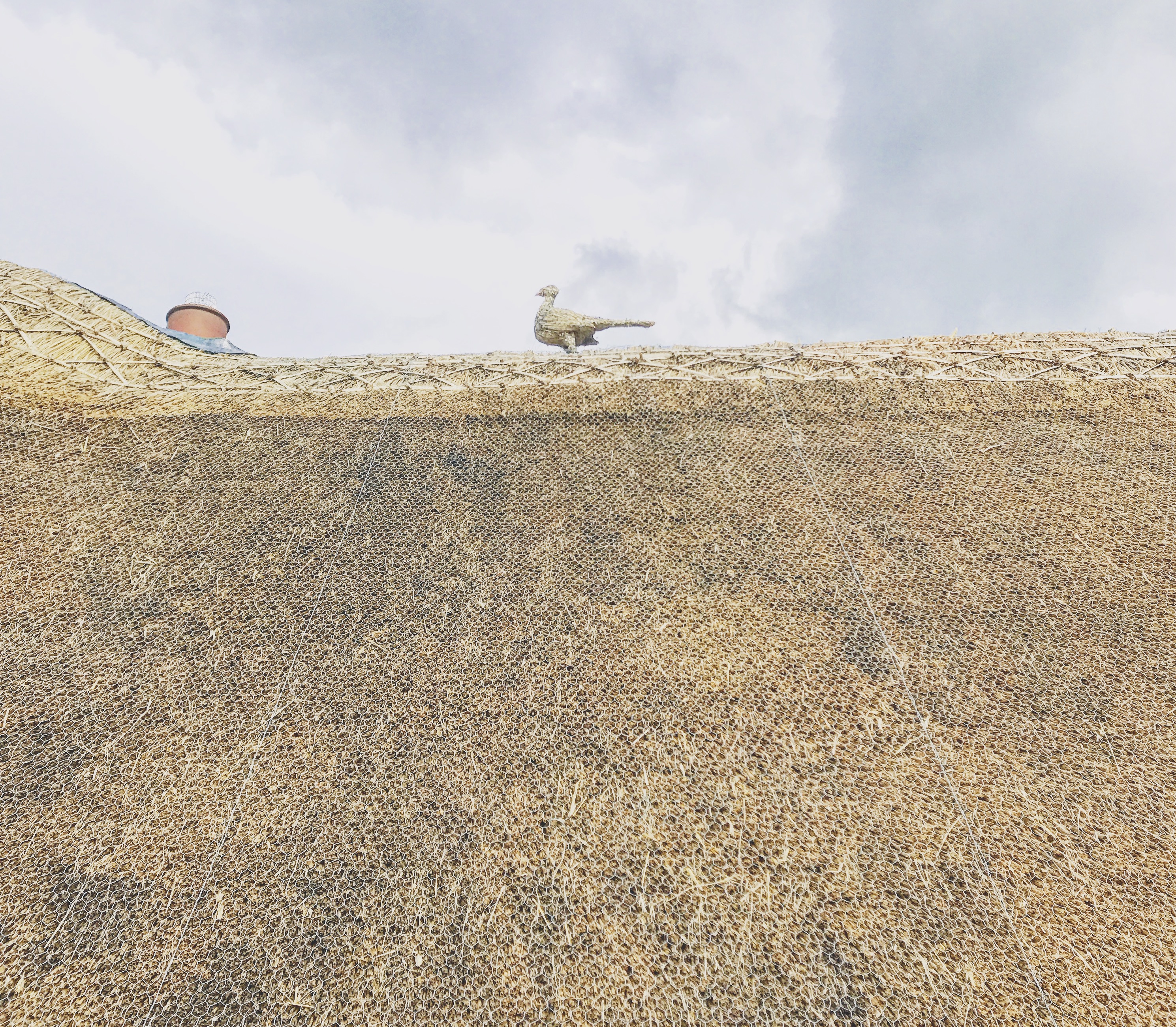 Thatch with Detail
